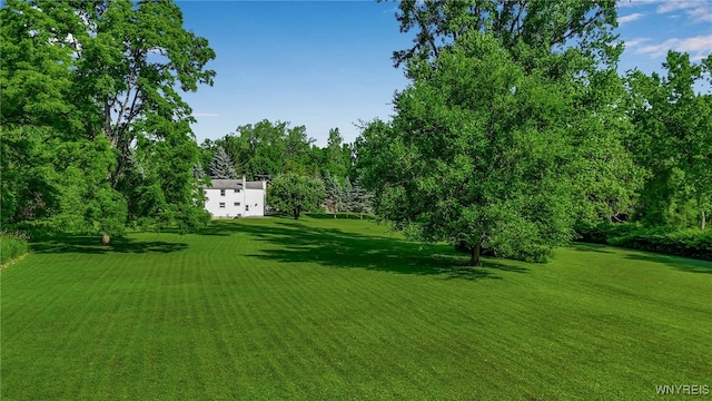 555 Leydecker Rd, West Seneca, NY 14224 - photo 8