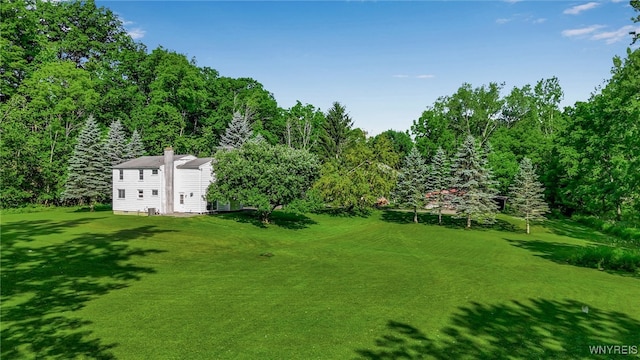 555 Leydecker Rd, West Seneca, NY 14224 - photo 9