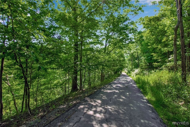 555 Leydecker Rd, West Seneca, NY 14224 - photo 49