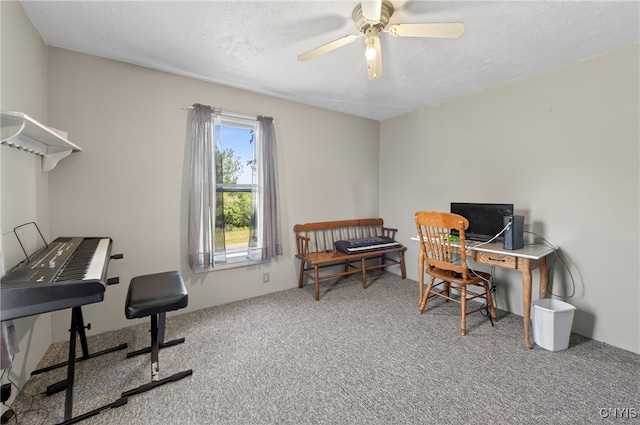 7616 Brown Rd, Wolcott, NY 14590 - photo 32