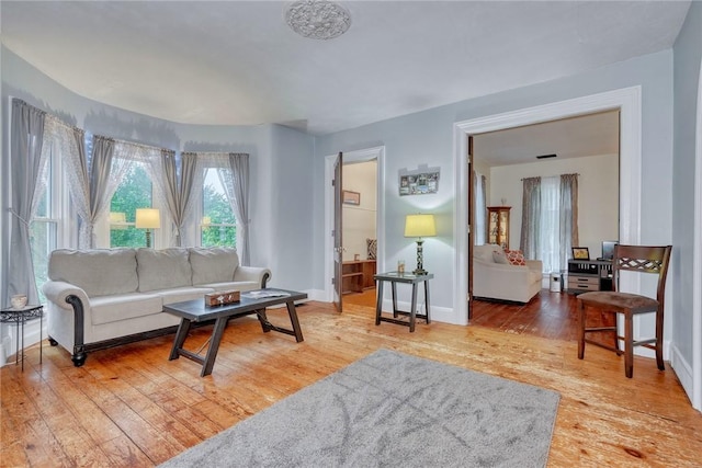 2360 Harris Rd, Palmyra, NY 14522 - living room with wood-type flooring and baseboards