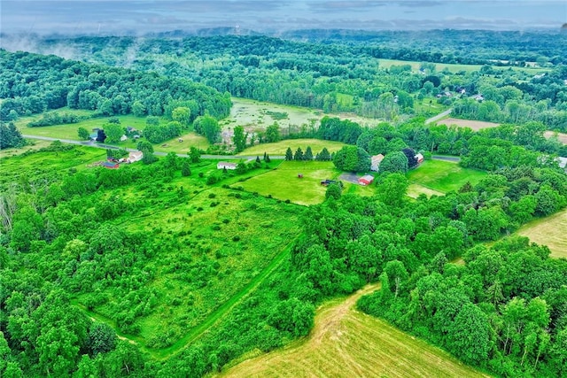 2360 Harris Rd, Palmyra, NY 14522 - view of rural area
