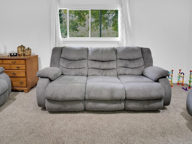 449 Pinnacle Rd, Henrietta, NY 14623 - living area with carpet floors