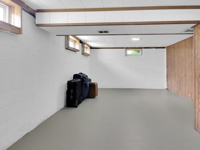 449 Pinnacle Rd, Henrietta, NY 14623 - basement with healthy amount of natural light, concrete block wall, and wooden walls
