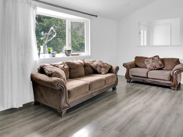 449 Pinnacle Rd, Henrietta, NY 14623 - living room featuring wood finished floors and vaulted ceiling