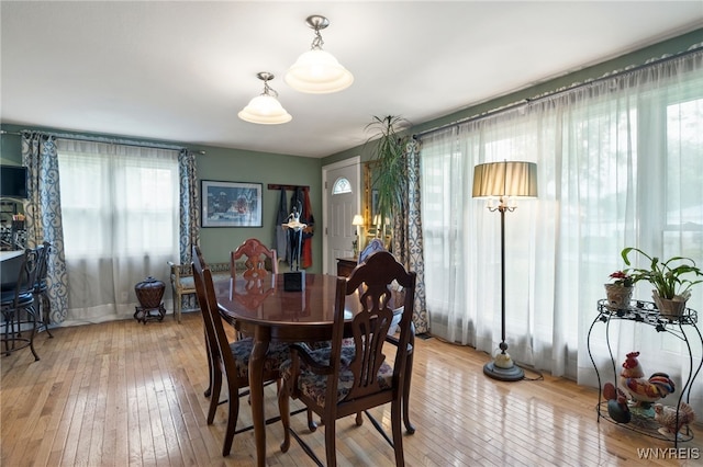 121 Yale Ave, Amherst, NY 14226 - photo 10
