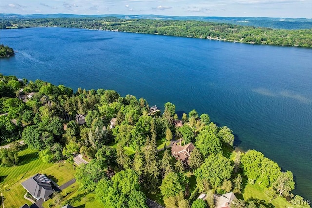 4705 E Lake Rd, Cazenovia, NY 13035 - photo 49