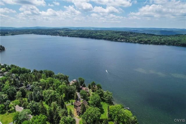 4705 E Lake Rd, Cazenovia, NY 13035 - photo 47