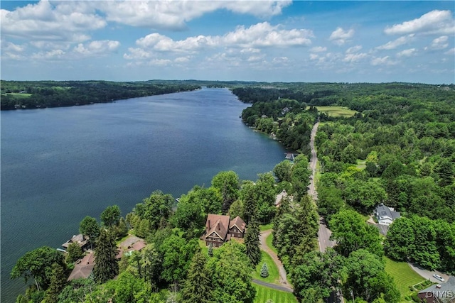 4705 E Lake Rd, Cazenovia, NY 13035 - photo 41