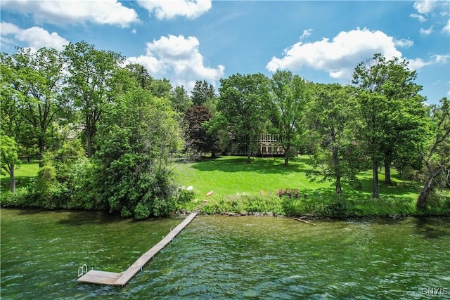4705 E Lake Rd, Cazenovia, NY 13035 - photo 4
