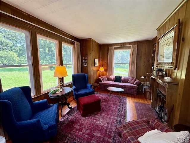 4705 E Lake Rd, Cazenovia, NY 13035 - photo 24