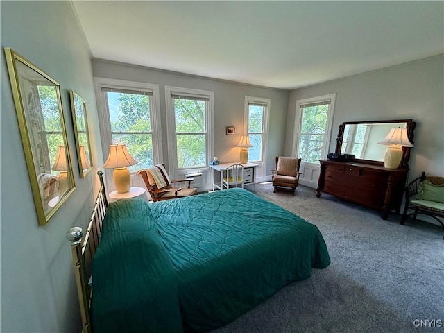 4705 E Lake Rd, Cazenovia, NY 13035 - photo 30