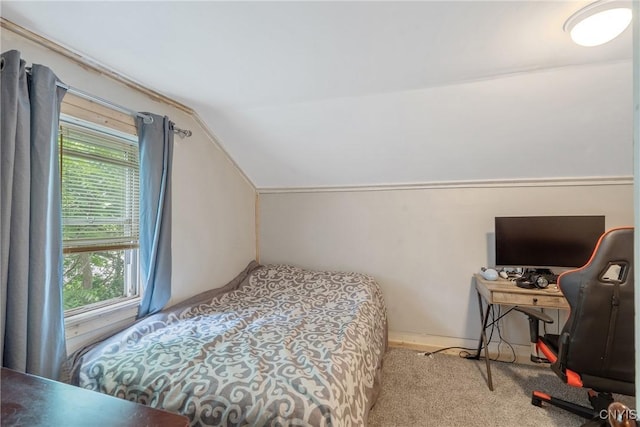 1033 County Route 25, Oswego, NY 13126 - photo 27
