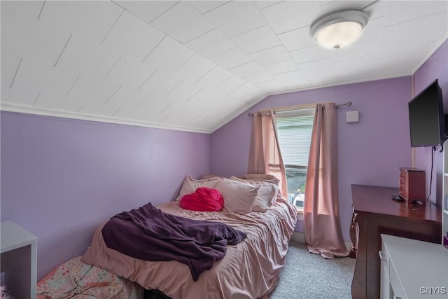 1033 County Route 25, Oswego, NY 13126 - photo 29