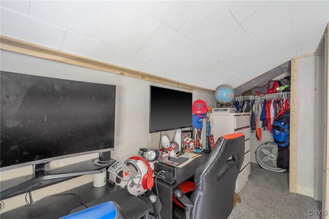 1033 County Route 25, Oswego, NY 13126 - photo 32