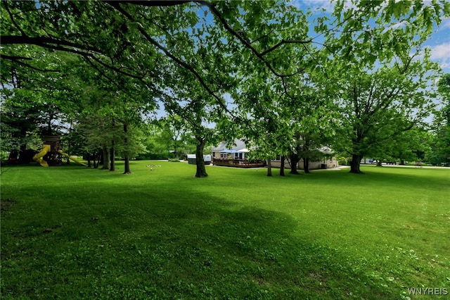 4901 Pineledge Dr W, Clarence, NY 14031 - view of green lawn with a playground