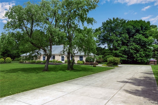 4901 Pineledge Dr W, Clarence, NY 14031 - ranch-style home featuring a front yard