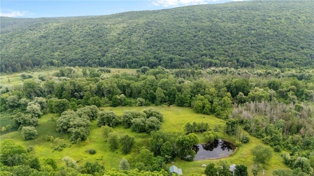 1369 Italy Valley Rd, Italy, NY 14512 - photo 37