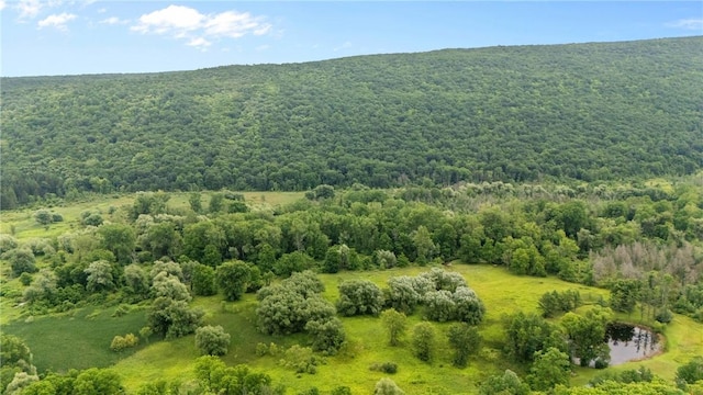 1369 Italy Valley Rd, Italy, NY 14512 - photo 38