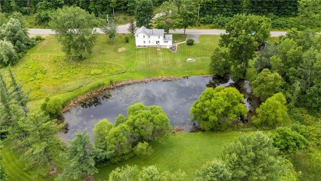 1369 Italy Valley Rd, Italy, NY 14512 - photo 39