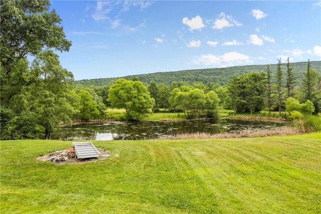 1369 Italy Valley Rd, Italy, NY 14512 - photo 40