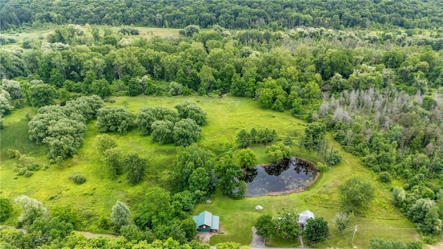 1369 Italy Valley Rd, Italy, NY 14512 - photo 43