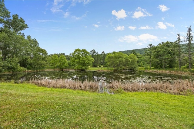 1369 Italy Valley Rd, Italy, NY 14512 - photo 44