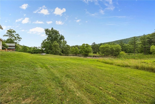 1369 Italy Valley Rd, Italy, NY 14512 - photo 45