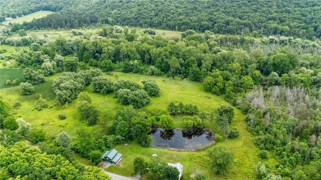 1369 Italy Valley Rd, Italy, NY 14512 - photo 2