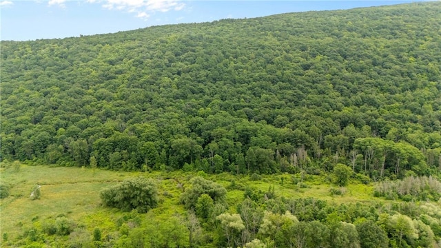1369 Italy Valley Rd, Italy, NY 14512 - photo 48