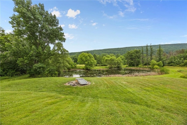 1369 Italy Valley Rd, Italy, NY 14512 - photo 49