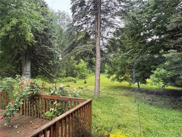 46151 Olney Rd, Alexandria, NY 13679 - photo 17