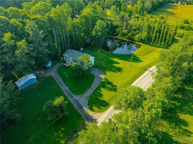 6165 Martin Corners Rd, Lyndon, NY 14727 - photo 4