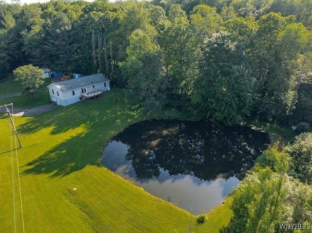 6165 Martin Corners Rd, Lyndon, NY 14727 - photo 40