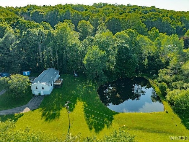 6165 Martin Corners Rd, Lyndon, NY 14727 - photo 41
