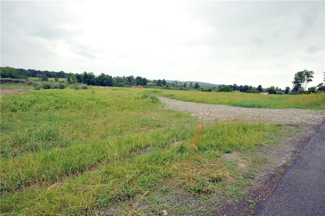 239 Vargo Rd, Lot C, Horseheads, NY 14845 - photo 2