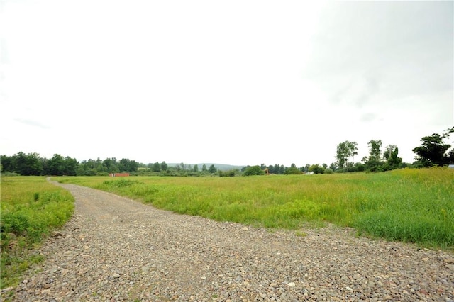 239 Vargo Rd, Lot C, Horseheads, NY 14845 - photo 3