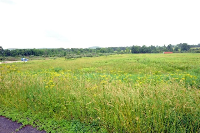239 Vargo Rd, Lot C, Horseheads, NY 14845 - photo 5