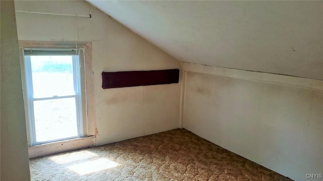 14183 State Route 90, Summerhill, NY 13092 - bonus room with lofted ceiling, plenty of natural light, and carpet
