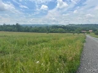 Chapman Rd, New Hartford, NY 13413