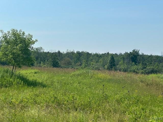 Chapman Rd, New Hartford, NY 13413 - photo 1