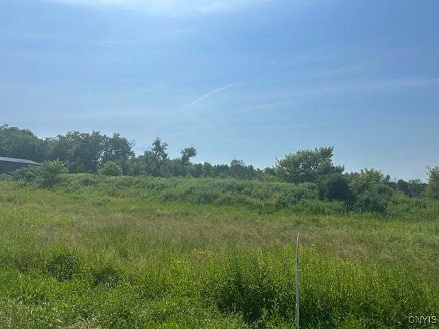 Chapman Rd, New Hartford, NY 13413 - photo 2