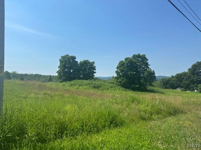 Chapman Rd, New Hartford, NY 13413 - photo 8
