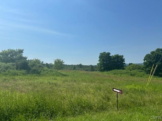 Chapman Rd, New Hartford, NY 13413 - photo 10