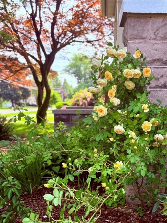 357 Washington St, Geneva City, NY 14456 - photo 46