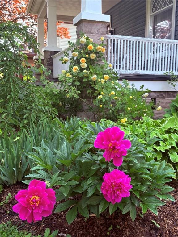 357 Washington St, Geneva City, NY 14456 - photo 47