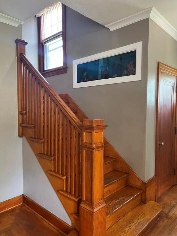 114 W 4th St, Emporium Boro, PA 15834 - photo 11