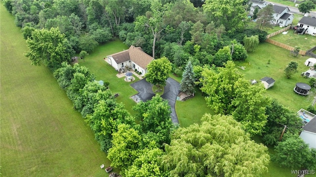 1363 Losson Rd, Cheektowaga, NY 14043 - photo 7