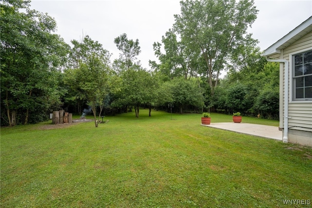 1363 Losson Rd, Cheektowaga, NY 14043 - photo 11