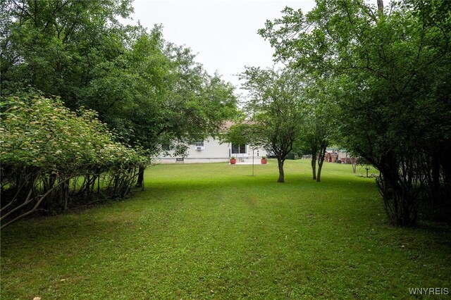 1363 Losson Rd, Cheektowaga, NY 14043 - photo 17
